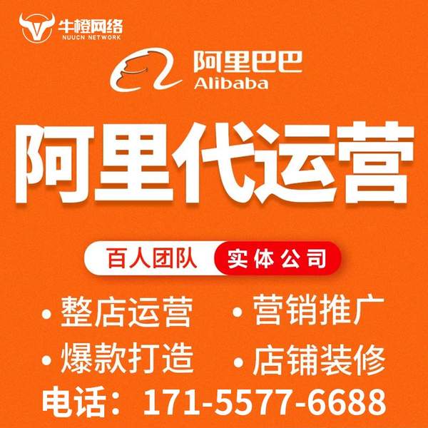 庆阳电商代运营