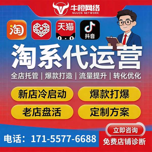 庆阳电商代运营