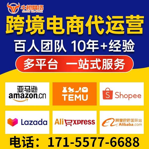 庆阳电商代运营