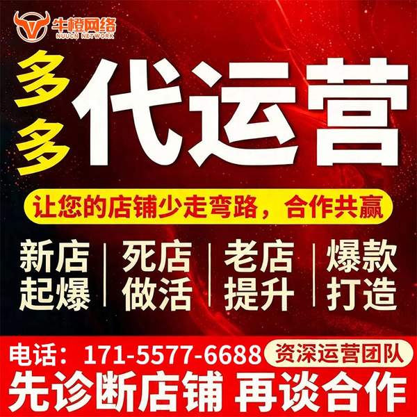 庆阳电商代运营