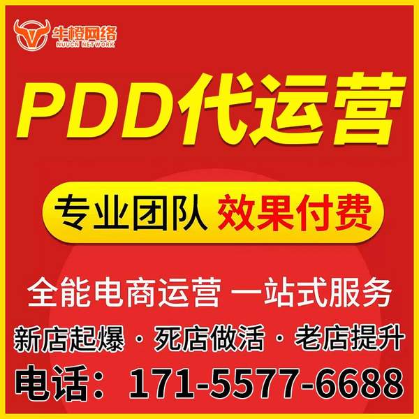 庆阳电商代运营