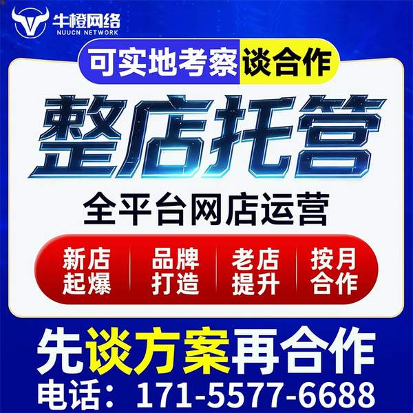 庆阳电商代运营