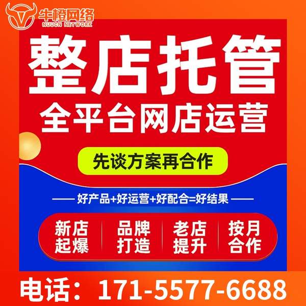 庆阳电商代运营