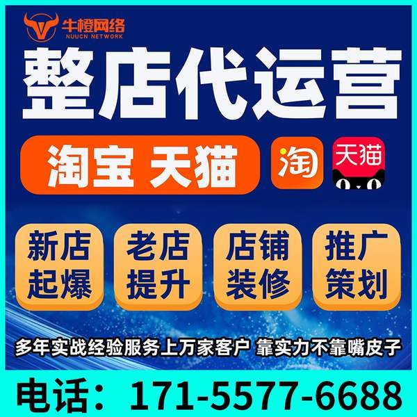 庆阳电商代运营
