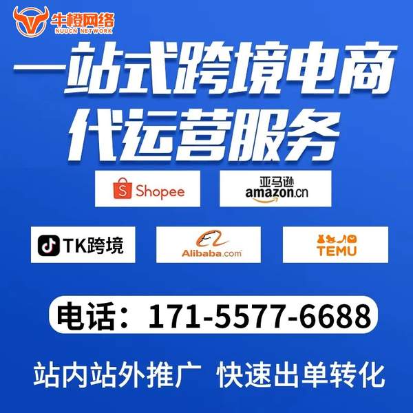 庆阳电商代运营