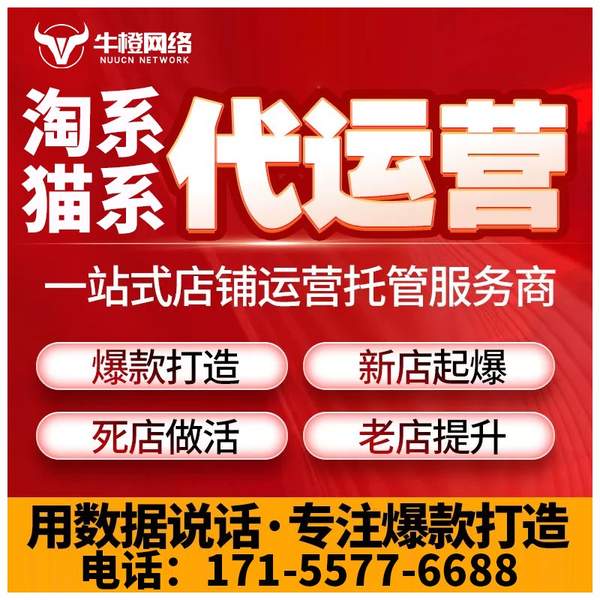 庆阳电商代运营